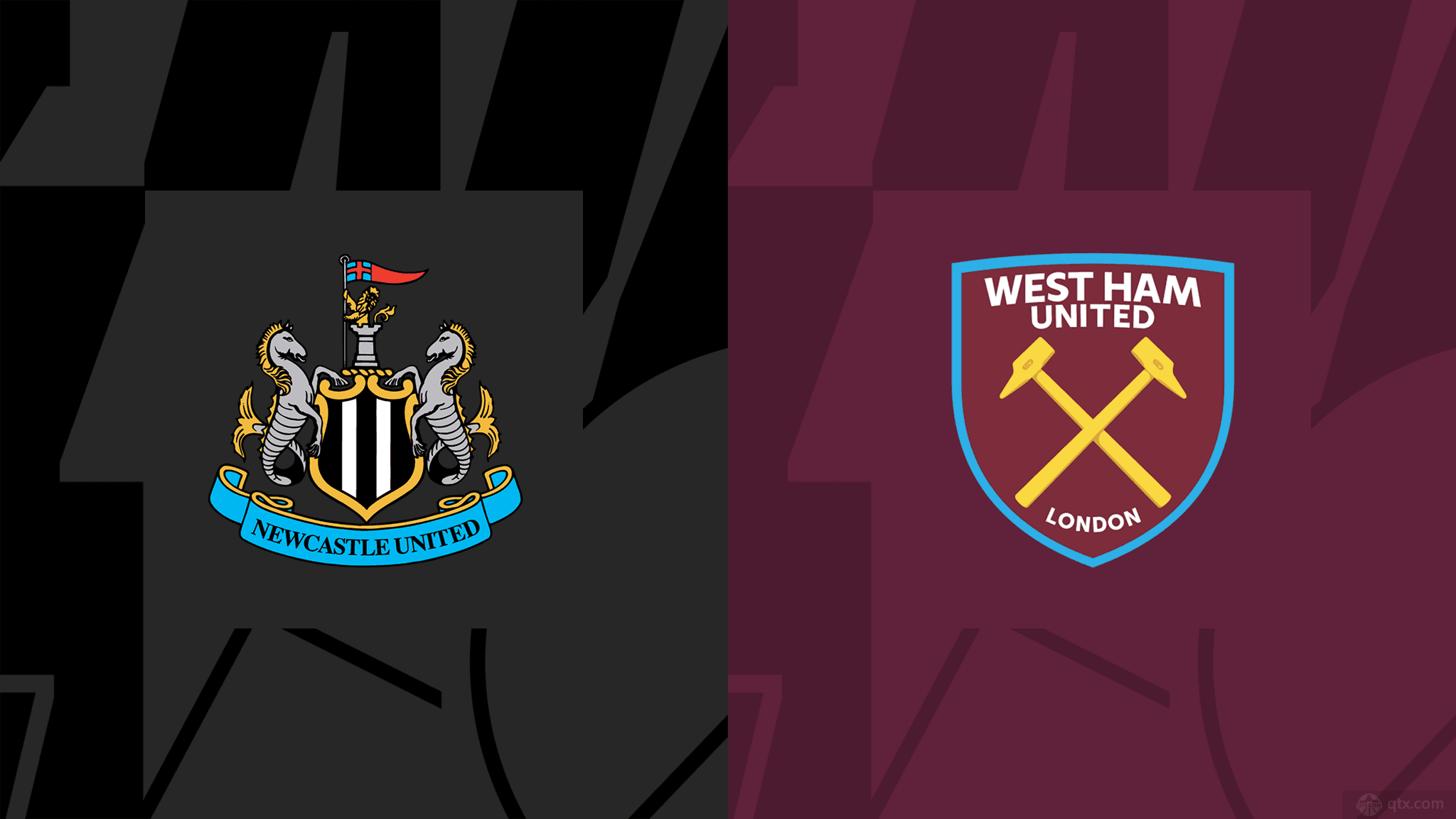 游球队特有 游球队特有