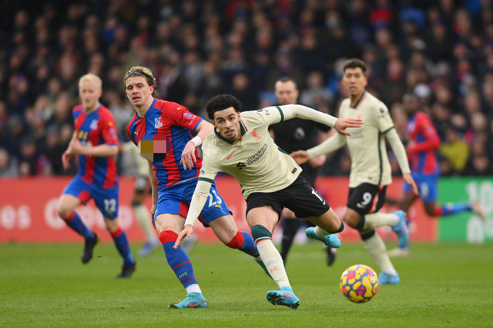 步重新贏得 步重新贏得